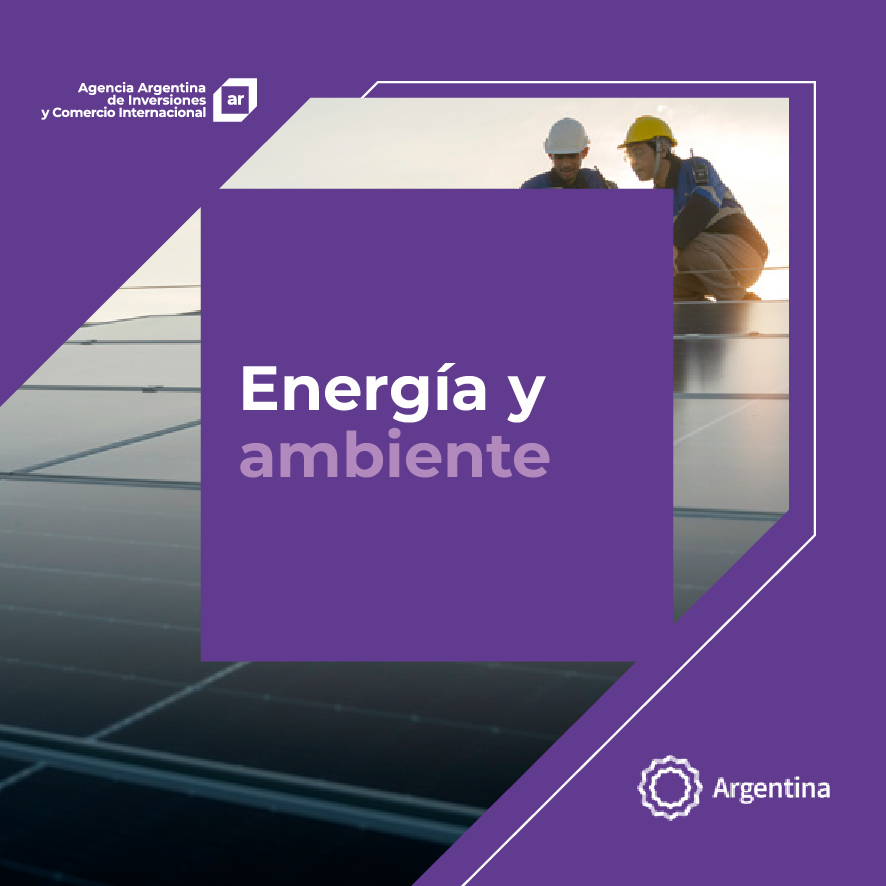 https://inversionycomercio.ar/images/publicaciones/Oferta exportable argentina: Energía y ambiente