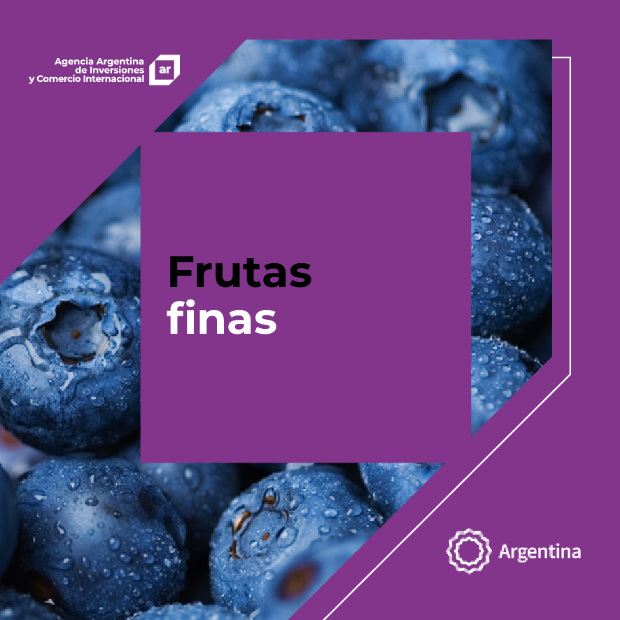 https://inversionycomercio.ar/images/publicaciones/Oferta exportable argentina: Frutas finas